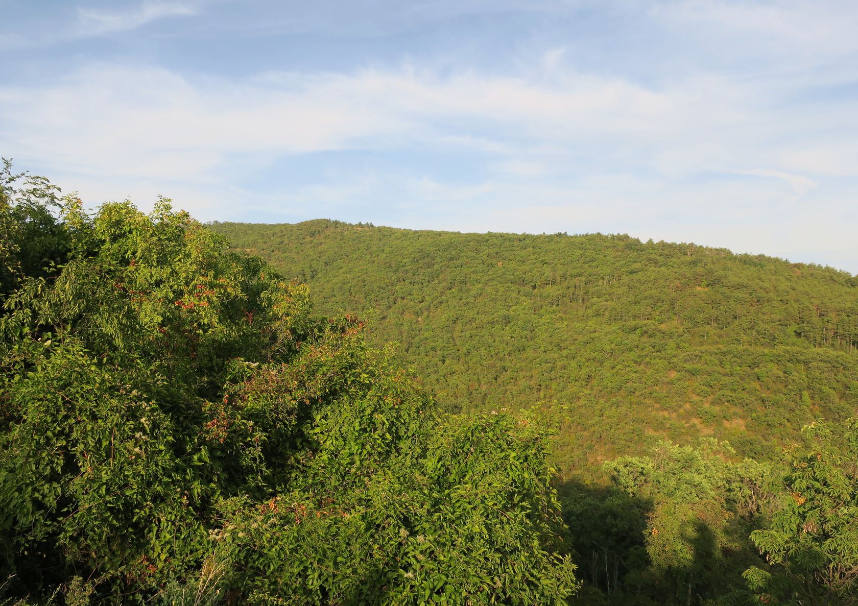 Солнечный Берег и окрестности, image of landscape/habitat.