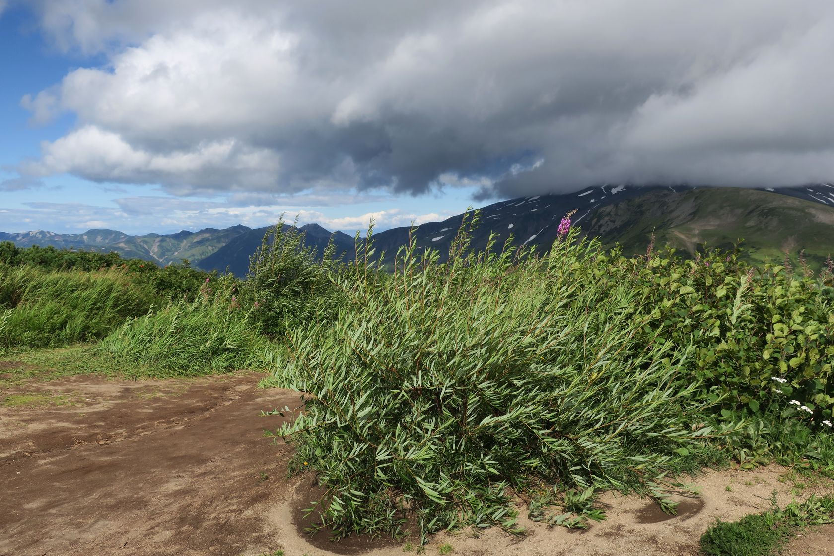 Стоянка "Вилючинский перевал", image of landscape/habitat.