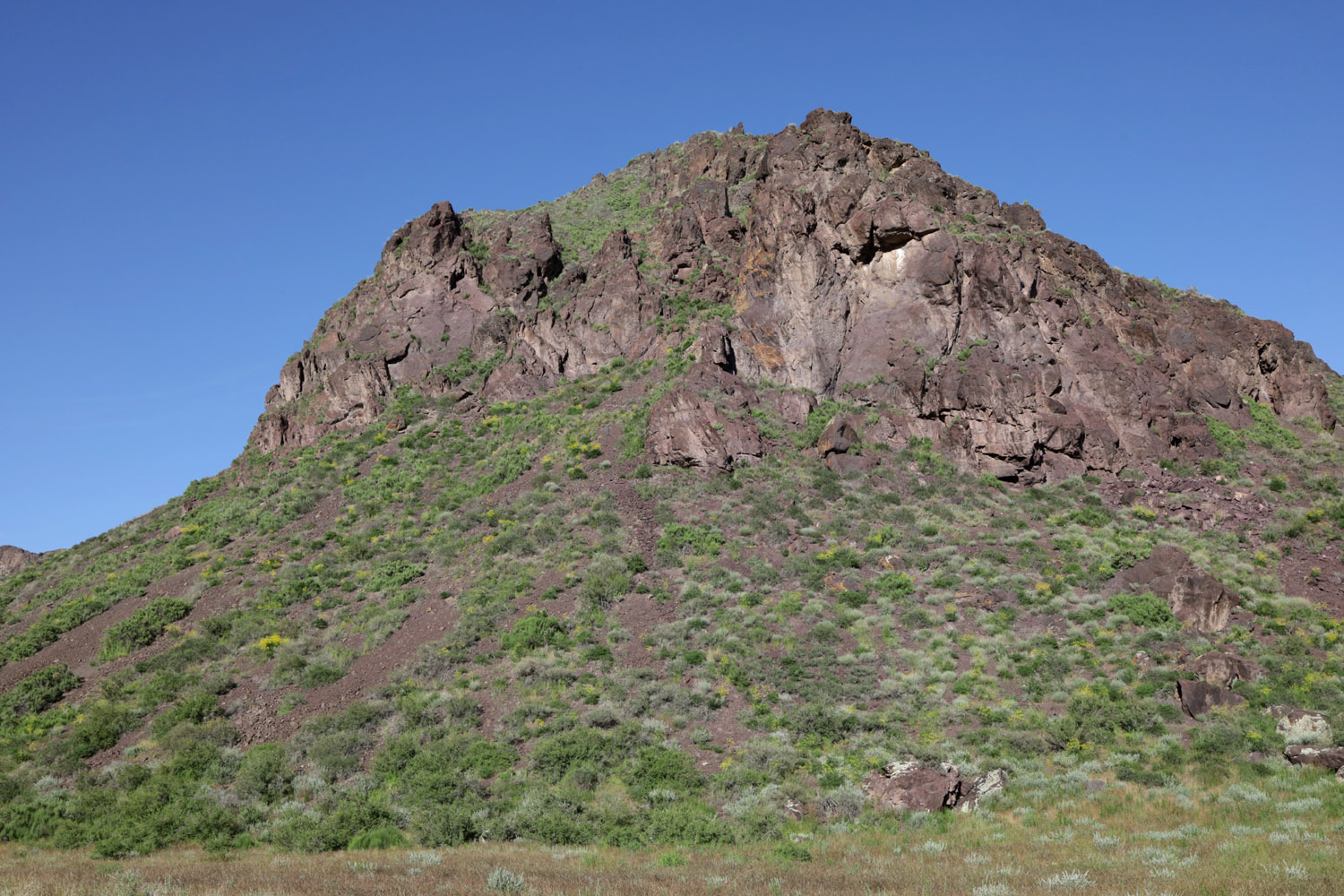 Тайгак, image of landscape/habitat.