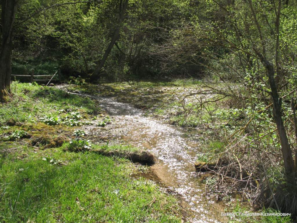 Святой источник, image of landscape/habitat.