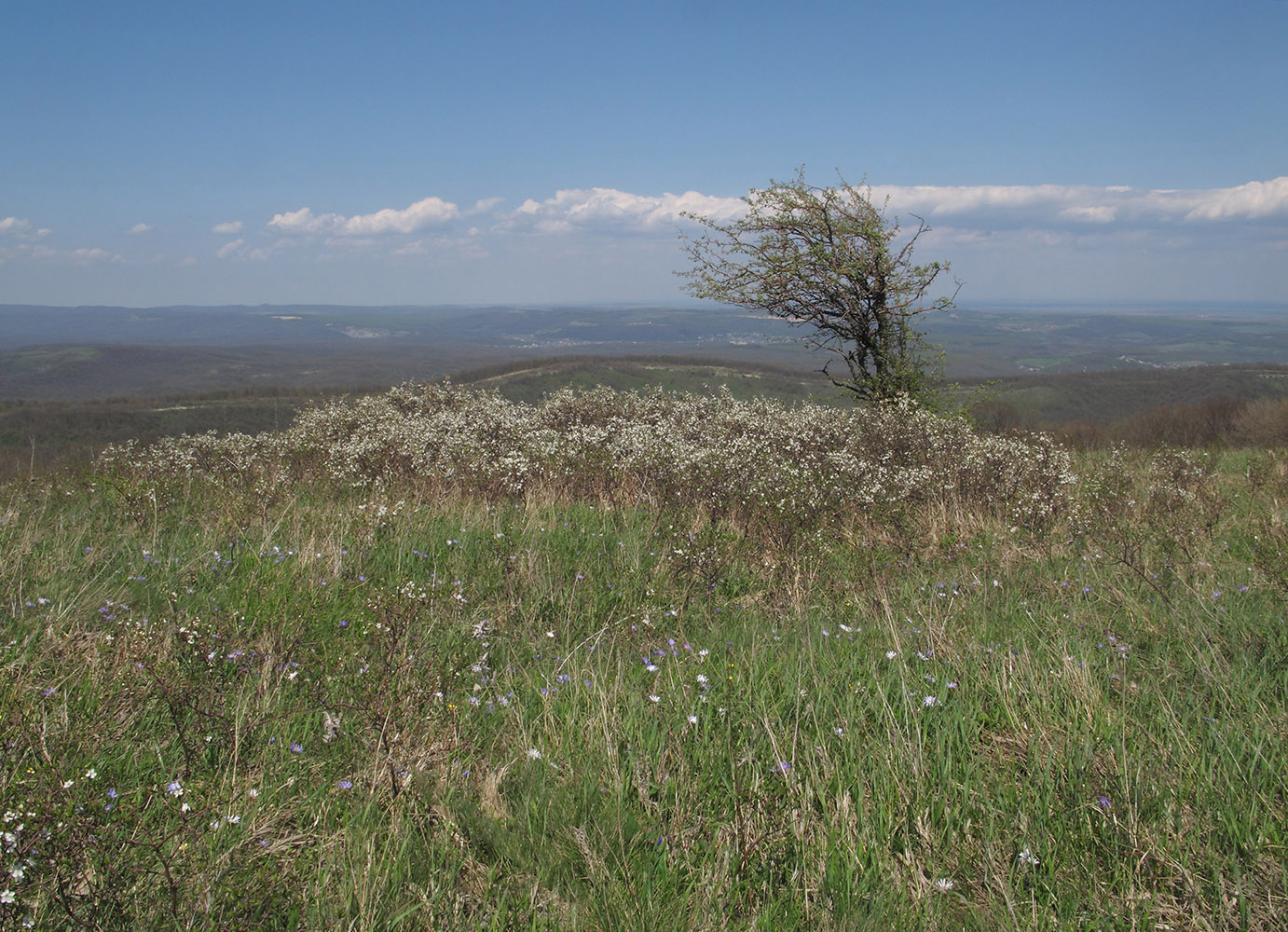 Гора Рябкова, изображение ландшафта.