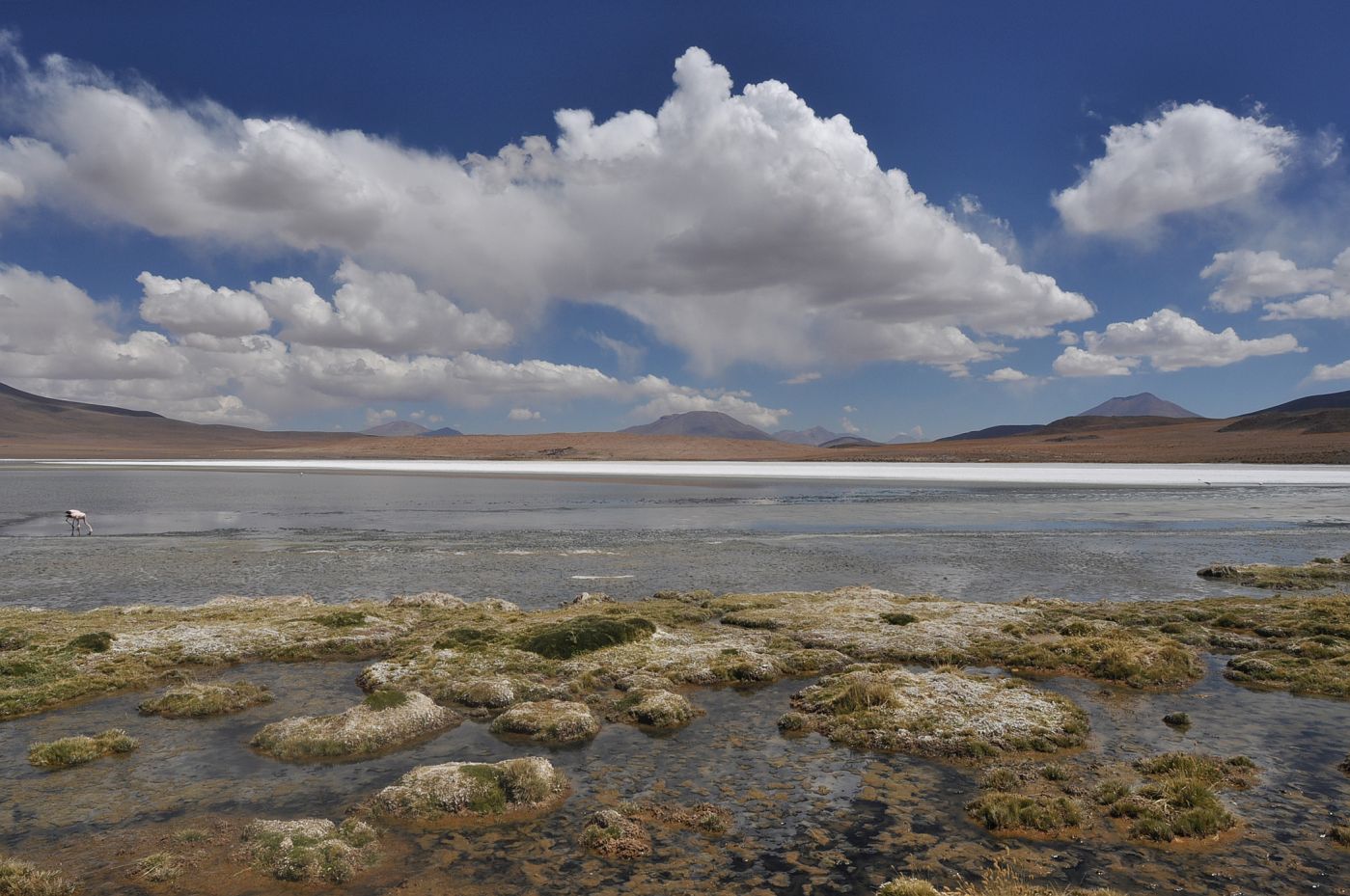 Озеро Каньяпа, image of landscape/habitat.