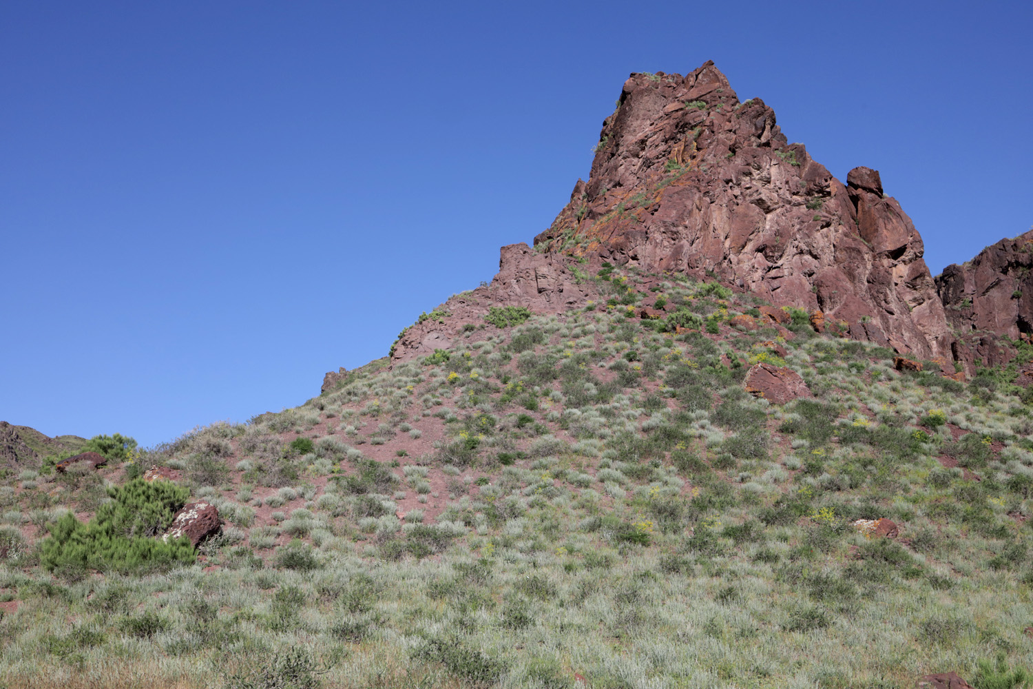 Тайгак, image of landscape/habitat.