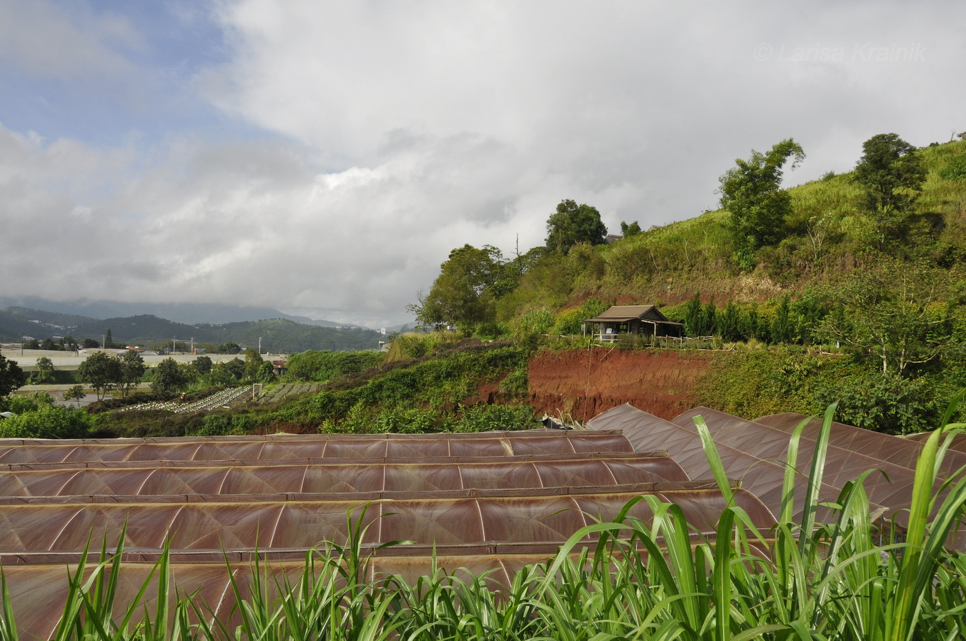 Далат, image of landscape/habitat.