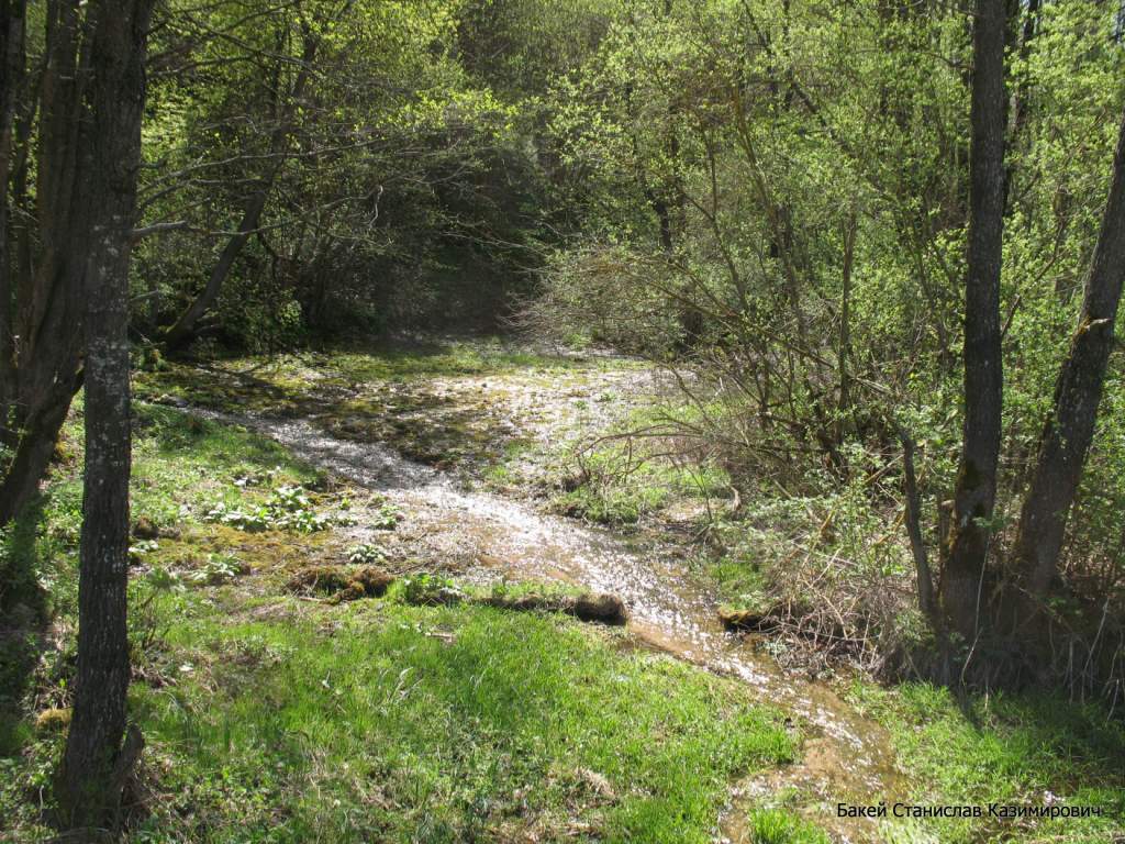 Святой источник, image of landscape/habitat.