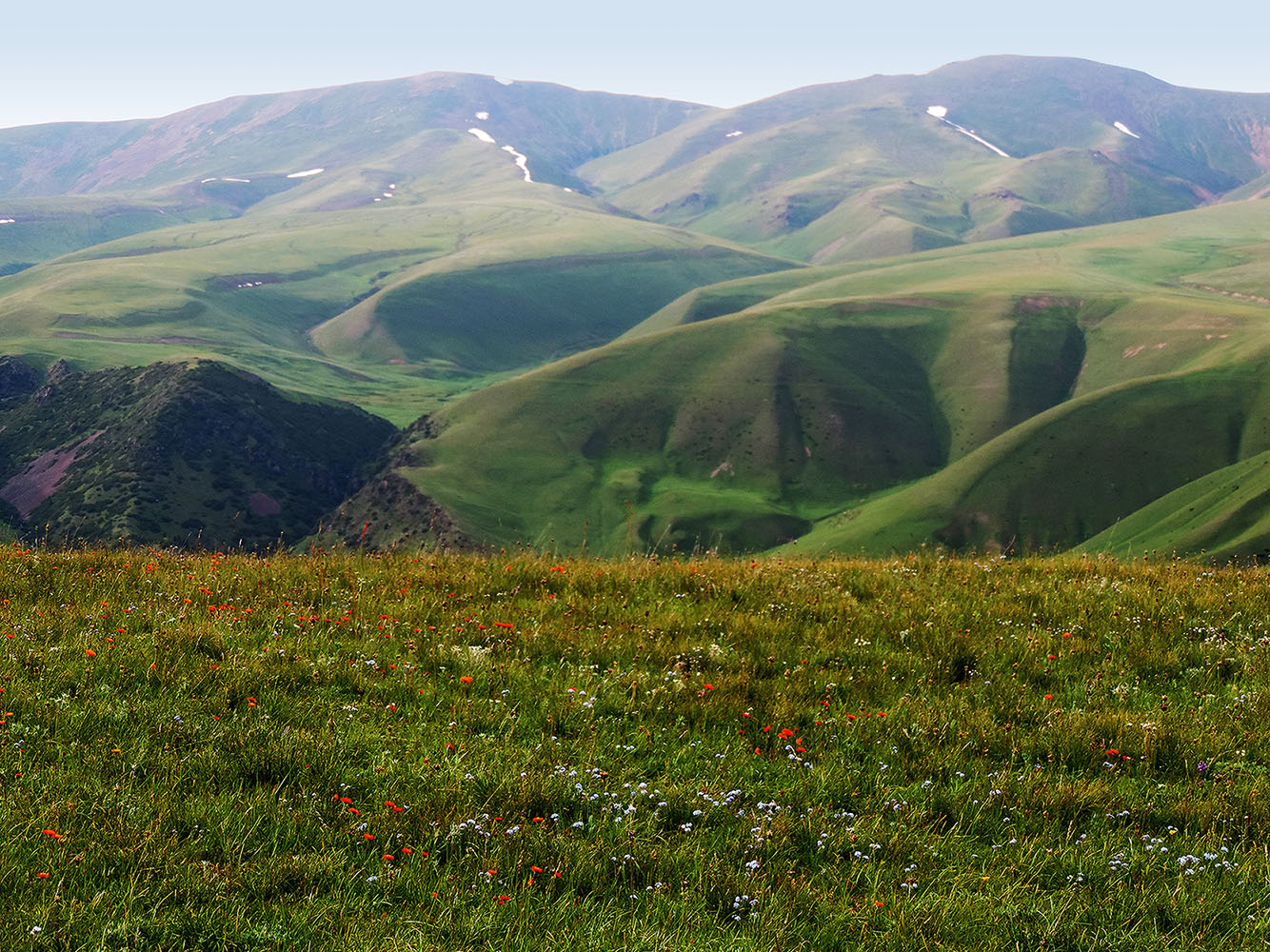 Плато Ассы, image of landscape/habitat.