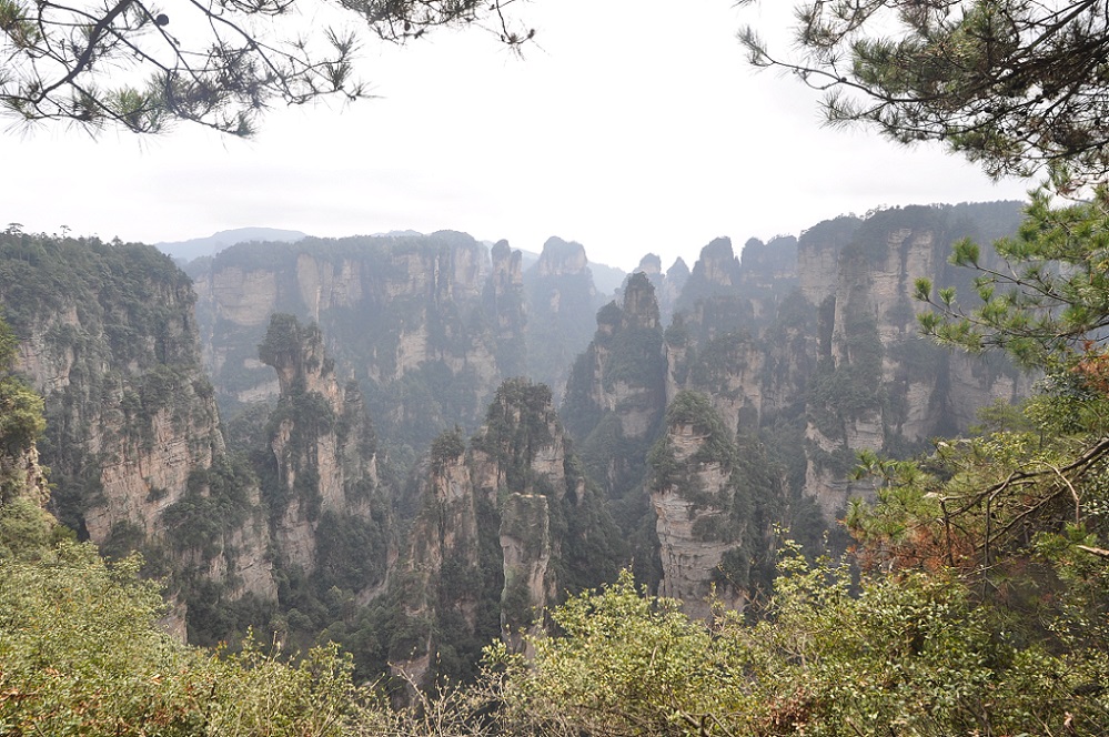 Национальный парк "Чжанцзяцзе", image of landscape/habitat.