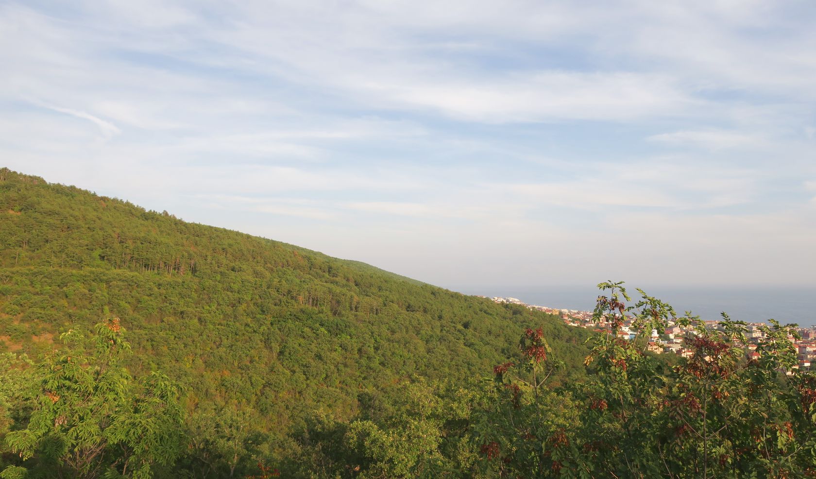 Солнечный Берег и окрестности, image of landscape/habitat.