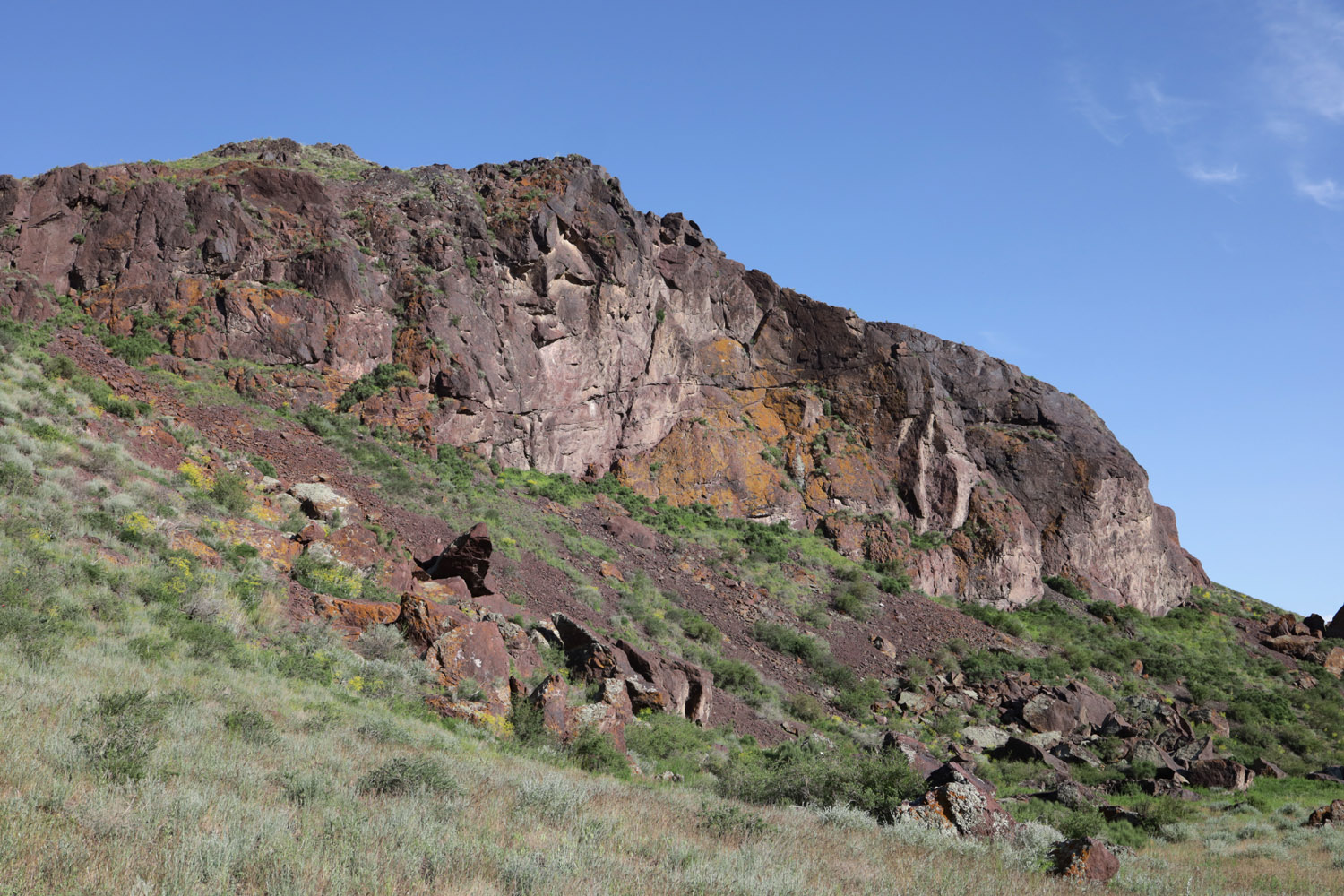 Тайгак, image of landscape/habitat.