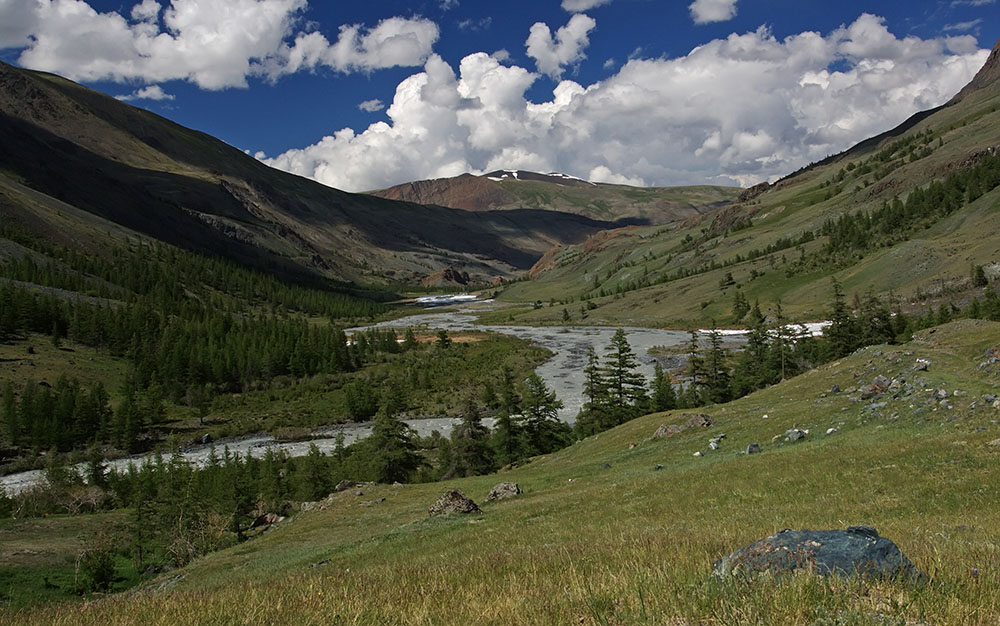 Талтура, image of landscape/habitat.