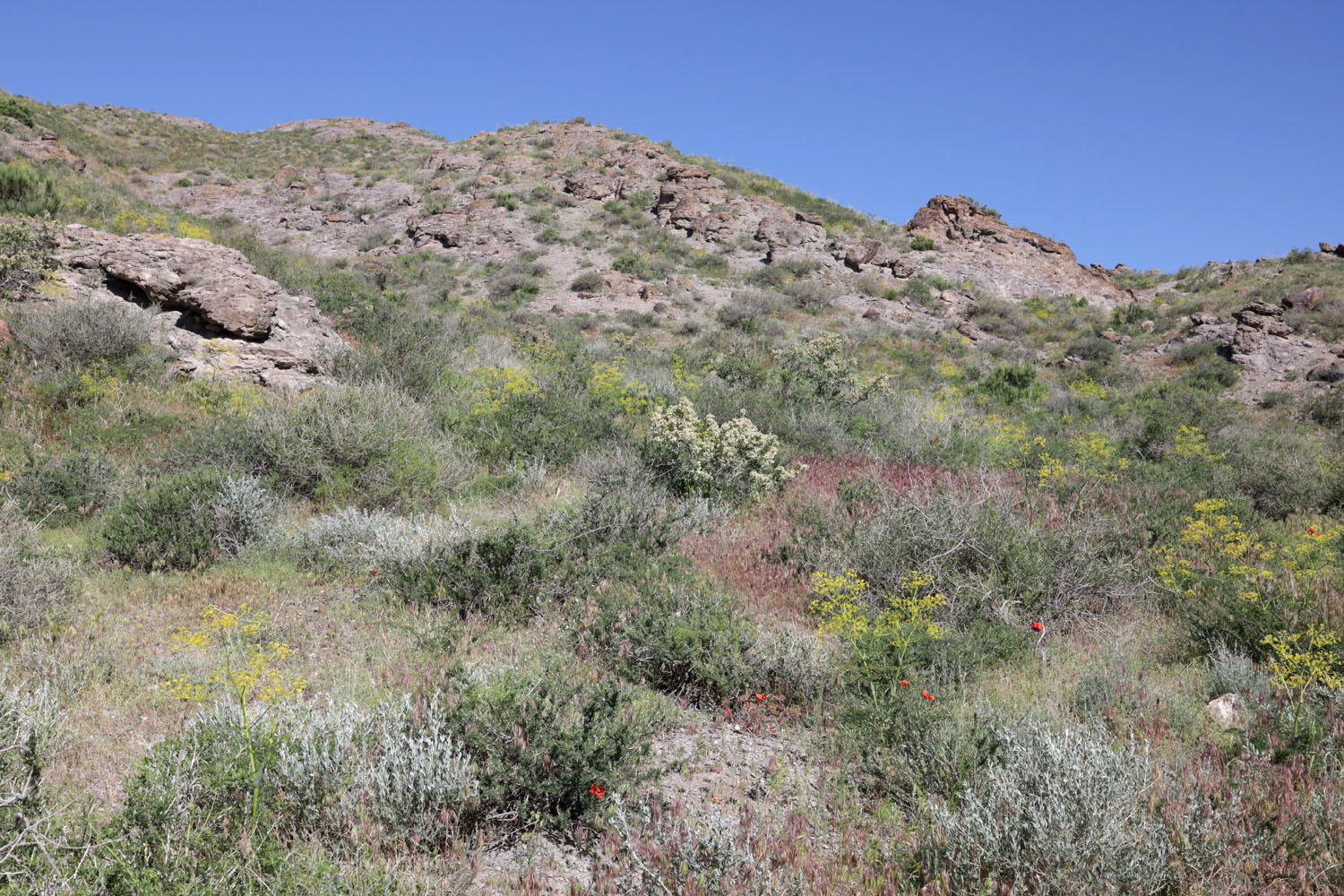 Тайгак, image of landscape/habitat.