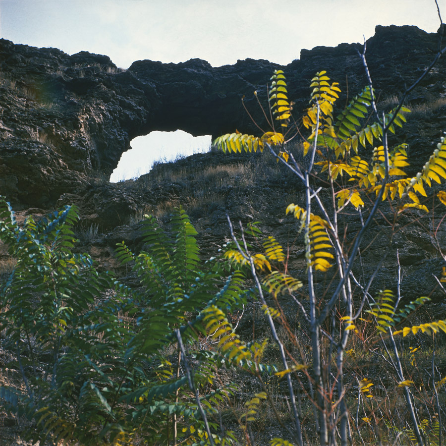 Висячее кольцо, image of landscape/habitat.