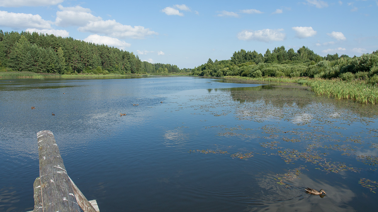 Бугрово, image of landscape/habitat.