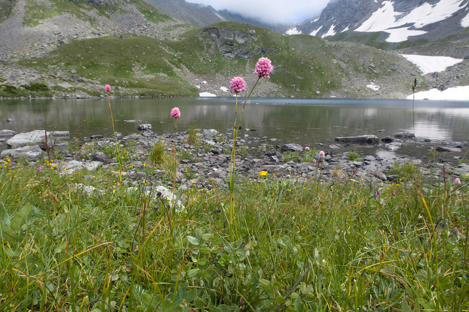 Озеро Тихое, image of landscape/habitat.