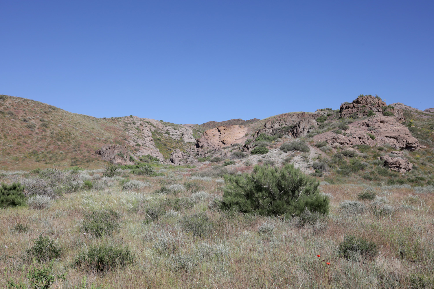 Тайгак, image of landscape/habitat.