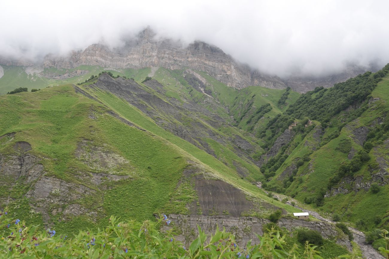 Дом Патимат, image of landscape/habitat.