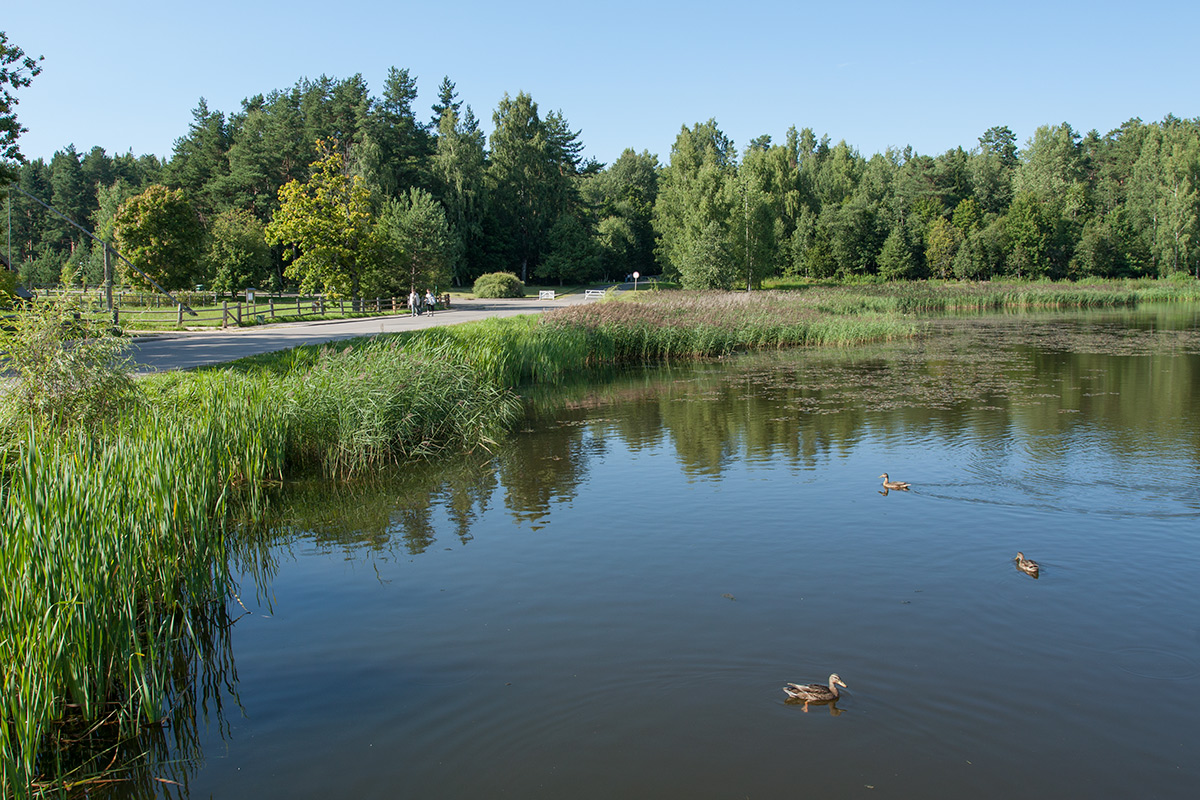 Бугрово, image of landscape/habitat.