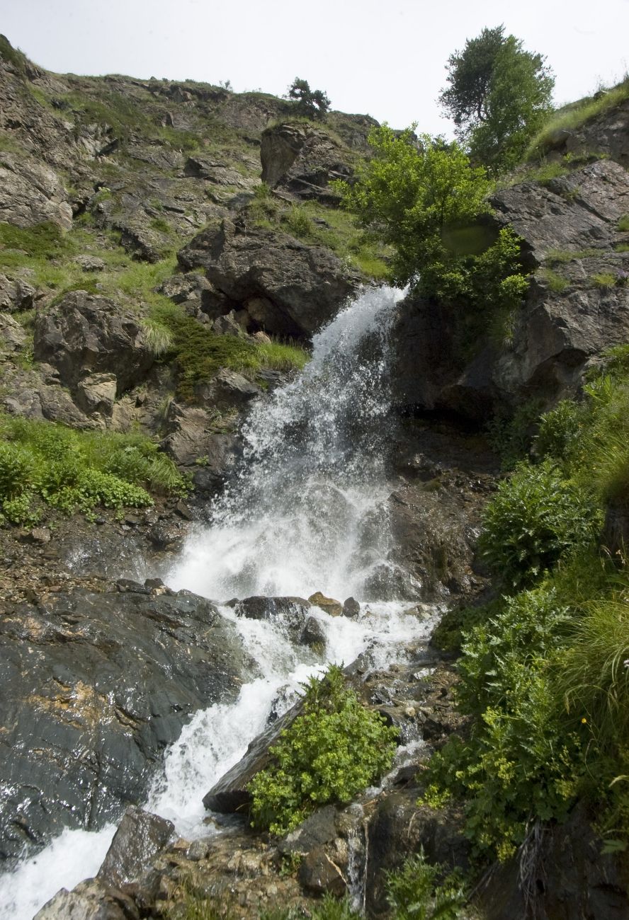 Окрестности села Байдаево, image of landscape/habitat.