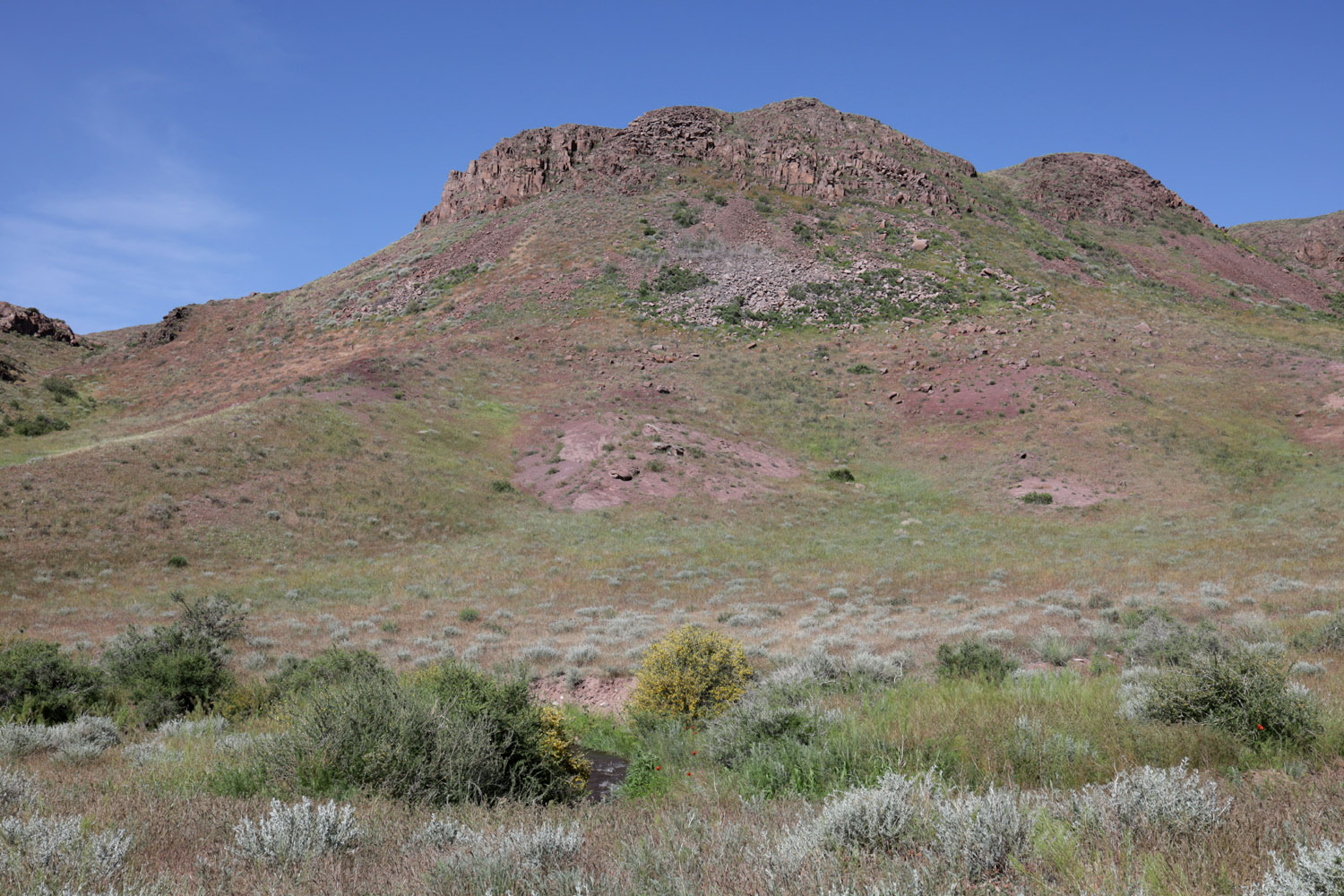 Тайгак, image of landscape/habitat.