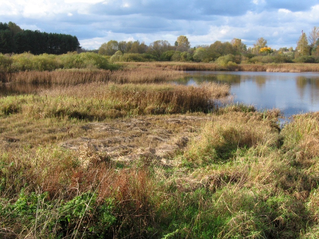 Каспля, image of landscape/habitat.