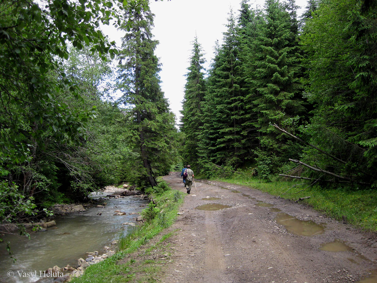 Быстрица, долина Рафайловца, image of landscape/habitat.