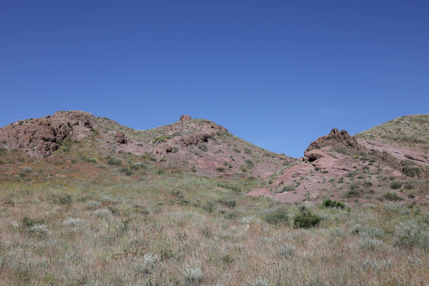 Тайгак, image of landscape/habitat.