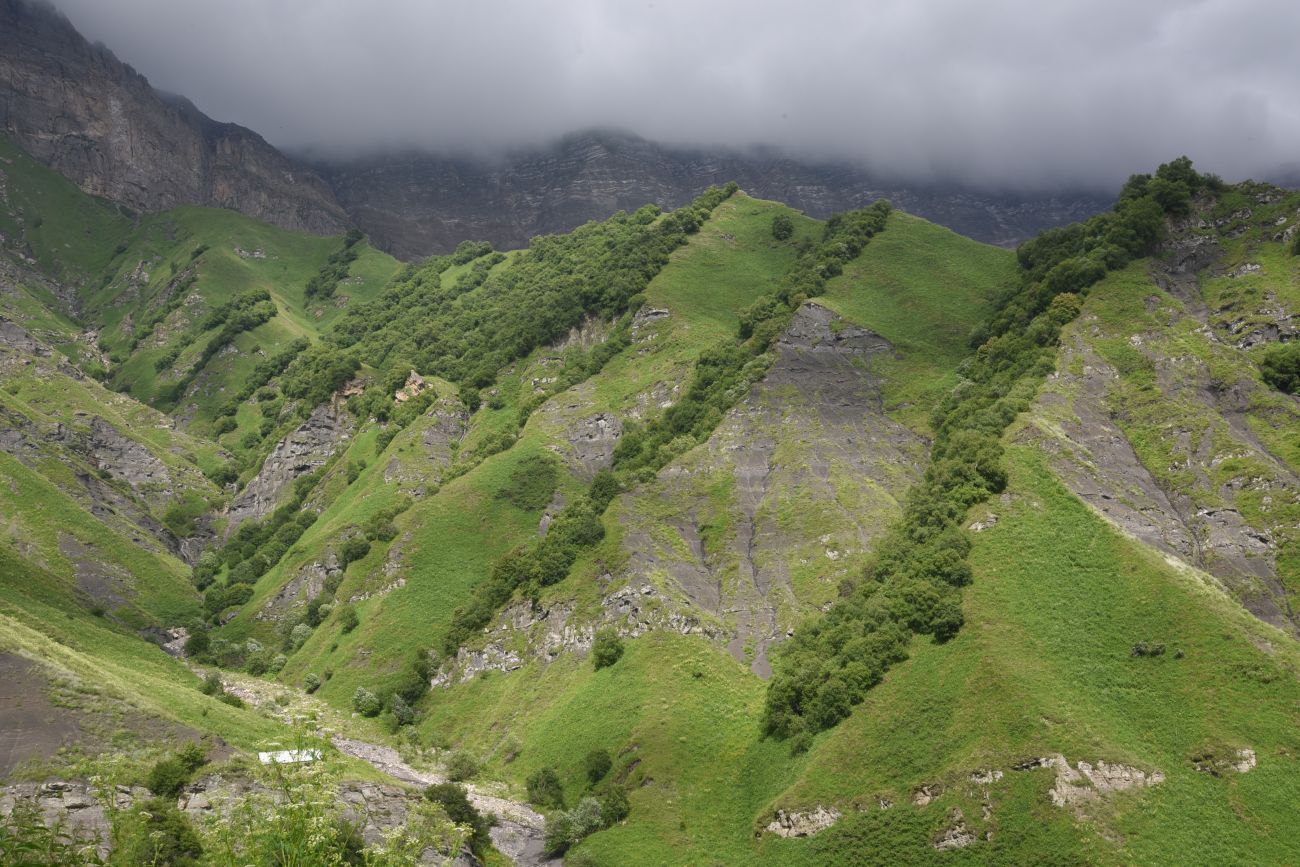 Дом Патимат, image of landscape/habitat.