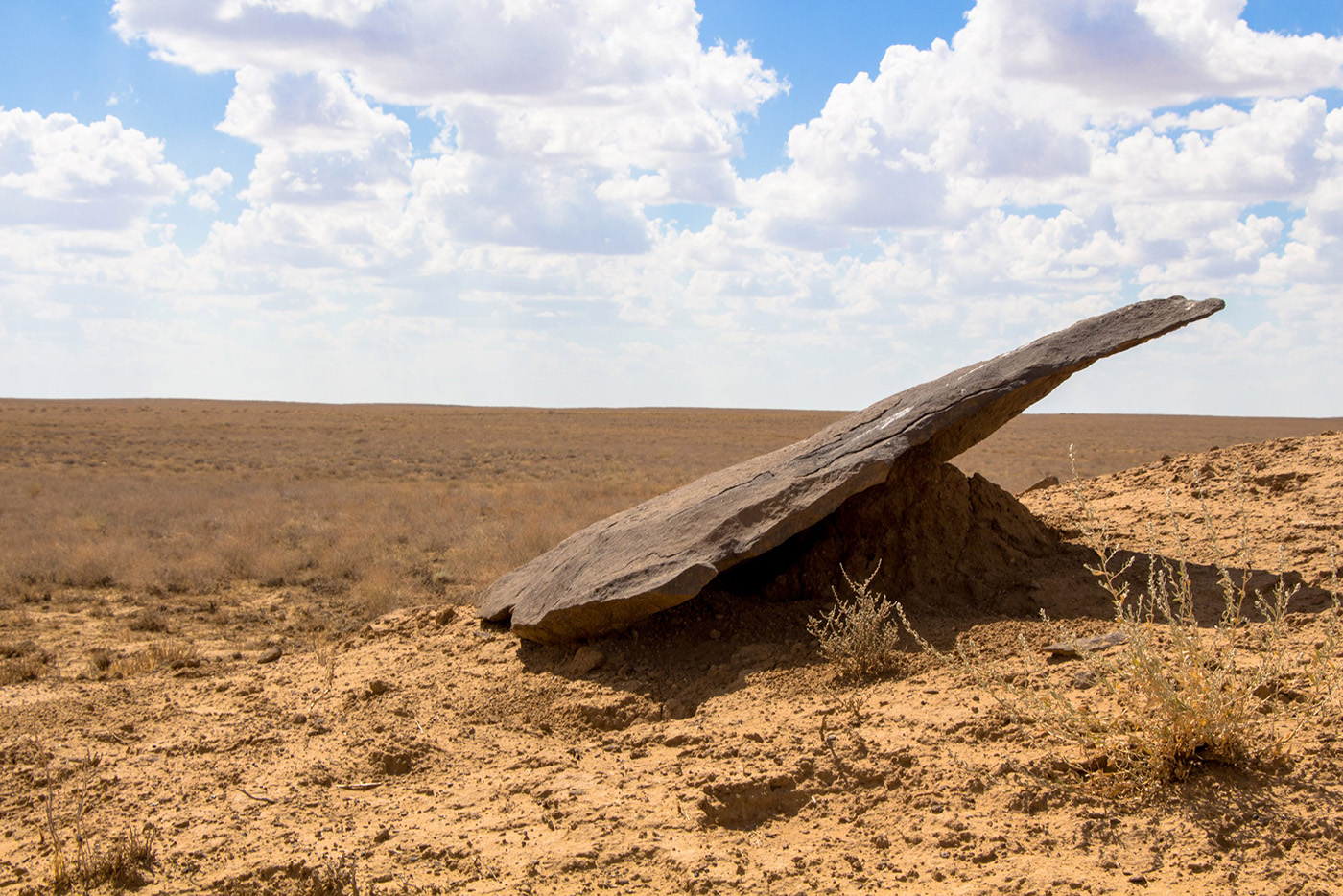 Байконур, image of landscape/habitat.