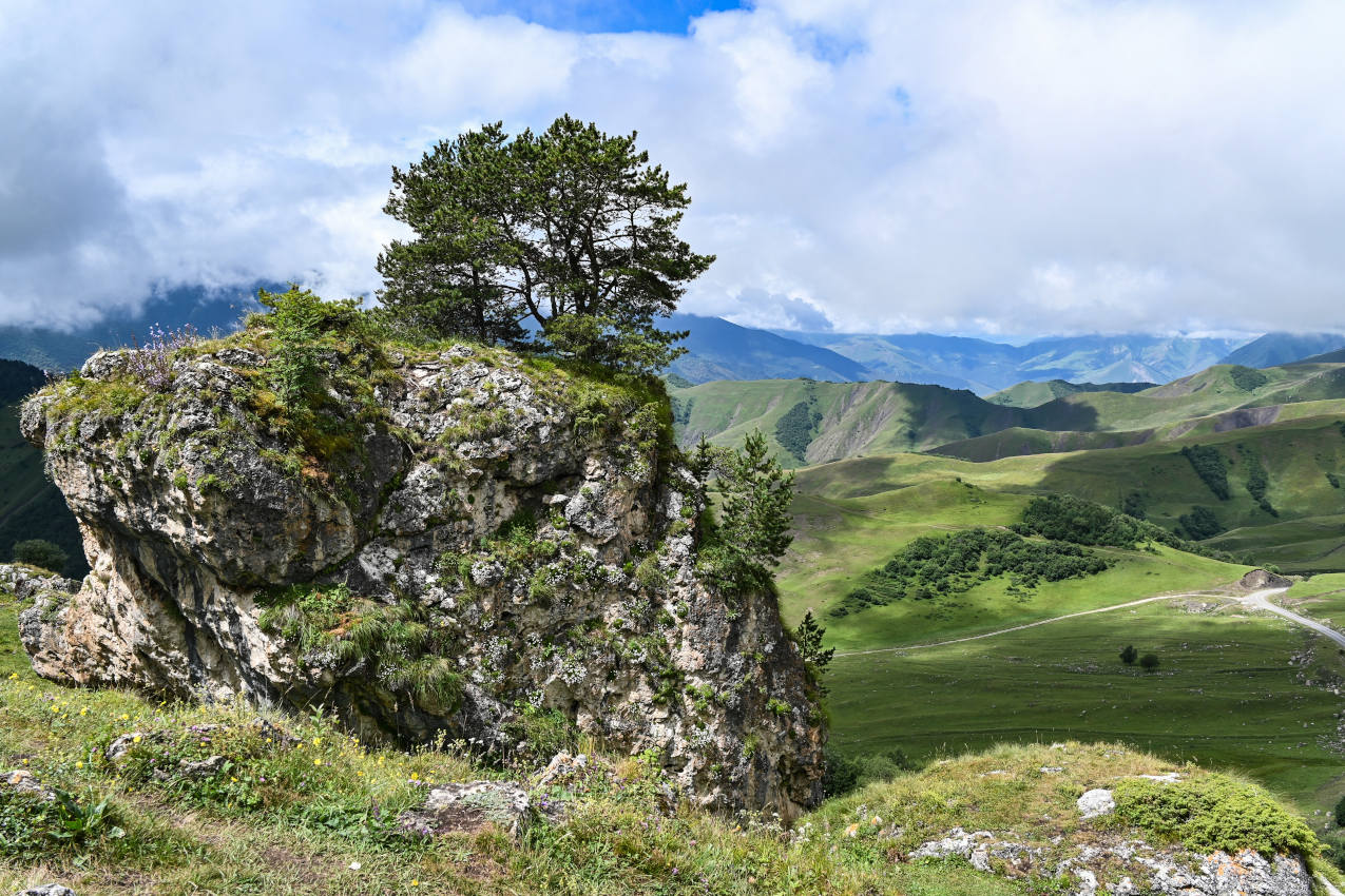 Перевал Цей-Лоам, image of landscape/habitat.