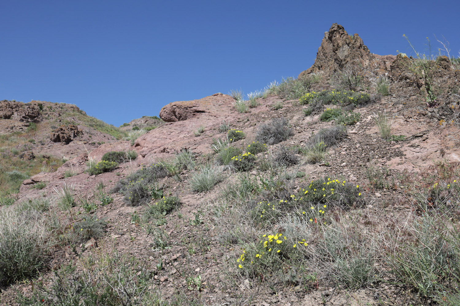 Тайгак, image of landscape/habitat.