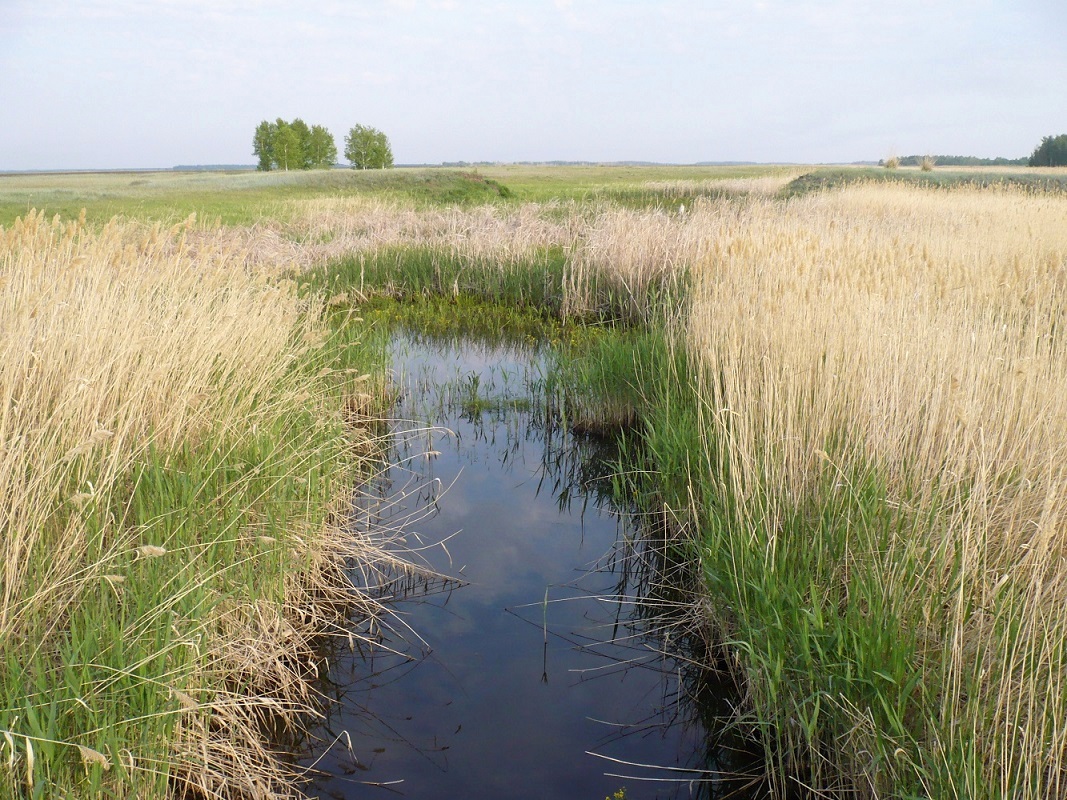 Благодатное, image of landscape/habitat.