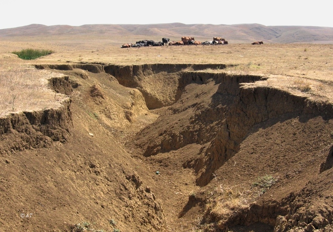 Таманский полуостров, image of landscape/habitat.