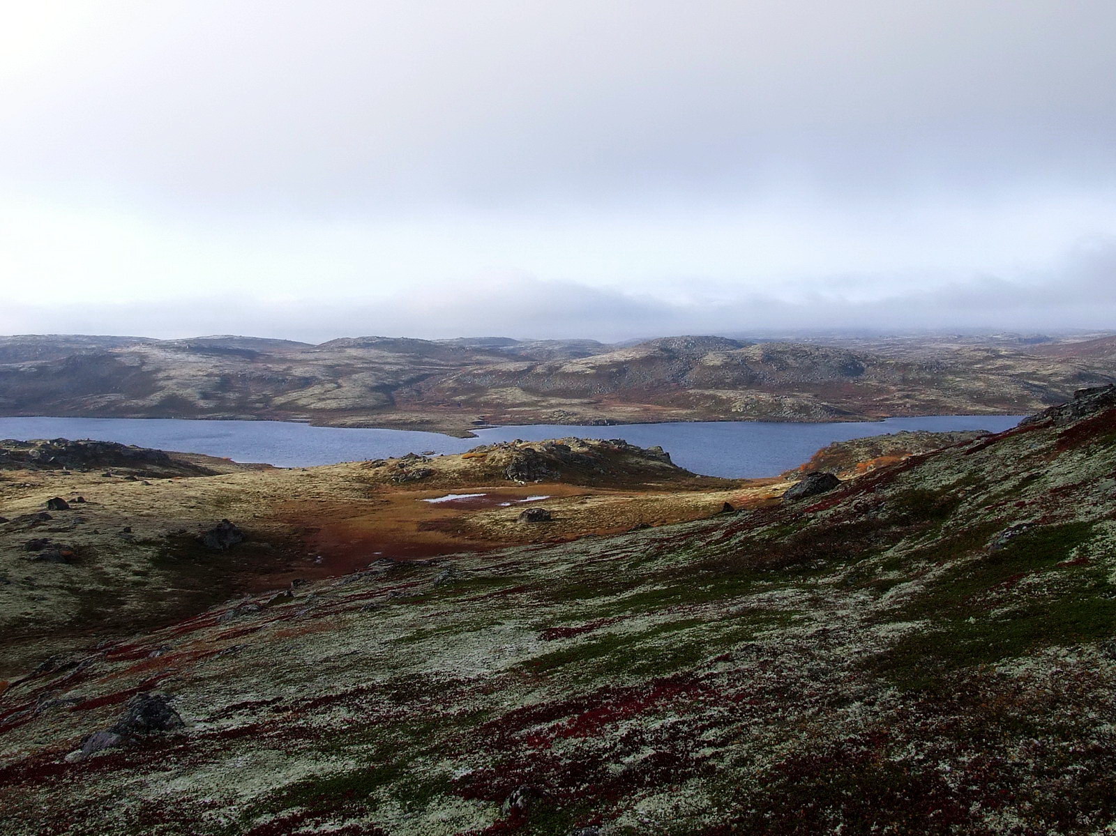 Дальние Зеленцы, image of landscape/habitat.