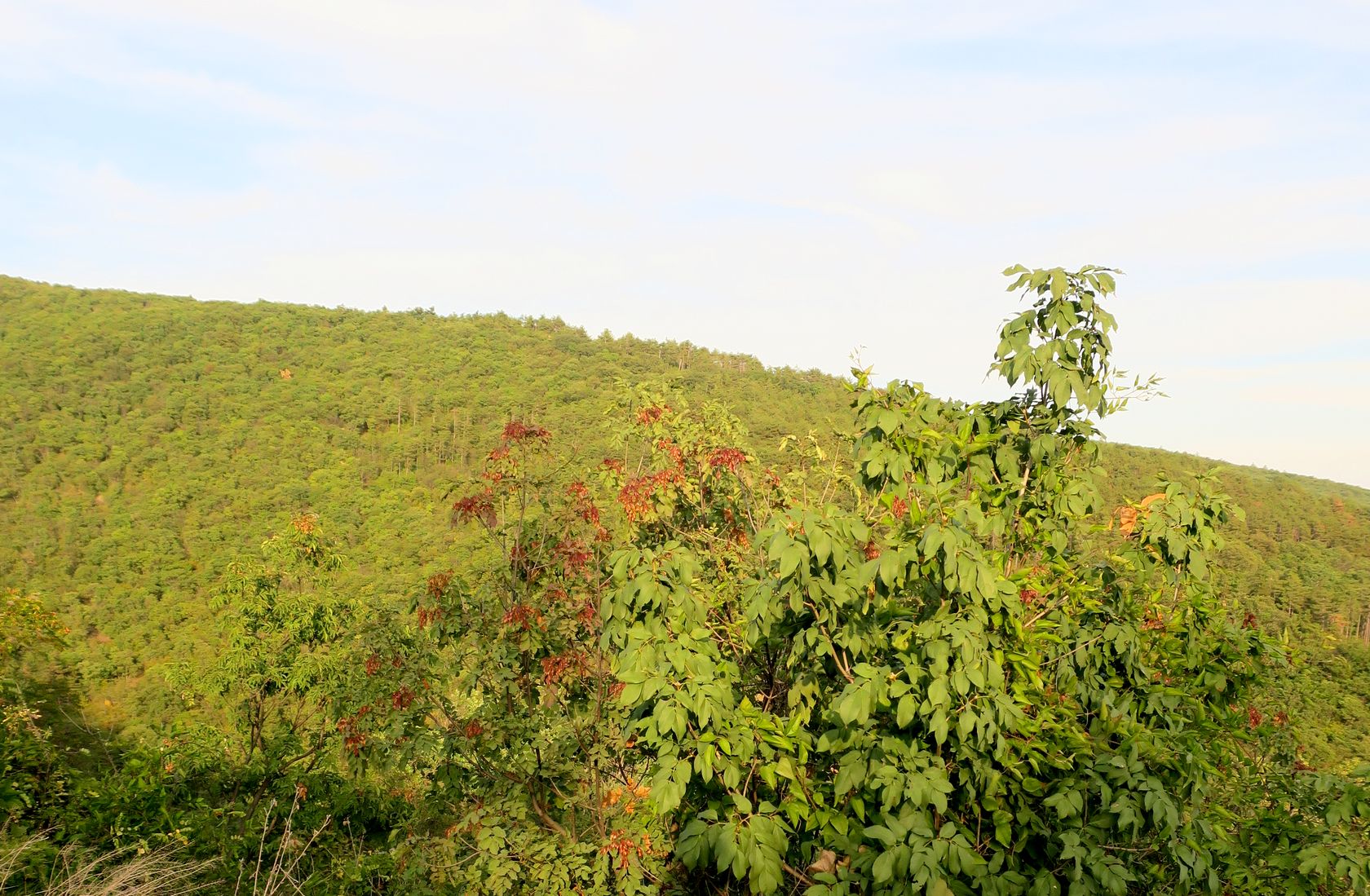 Солнечный Берег и окрестности, image of landscape/habitat.