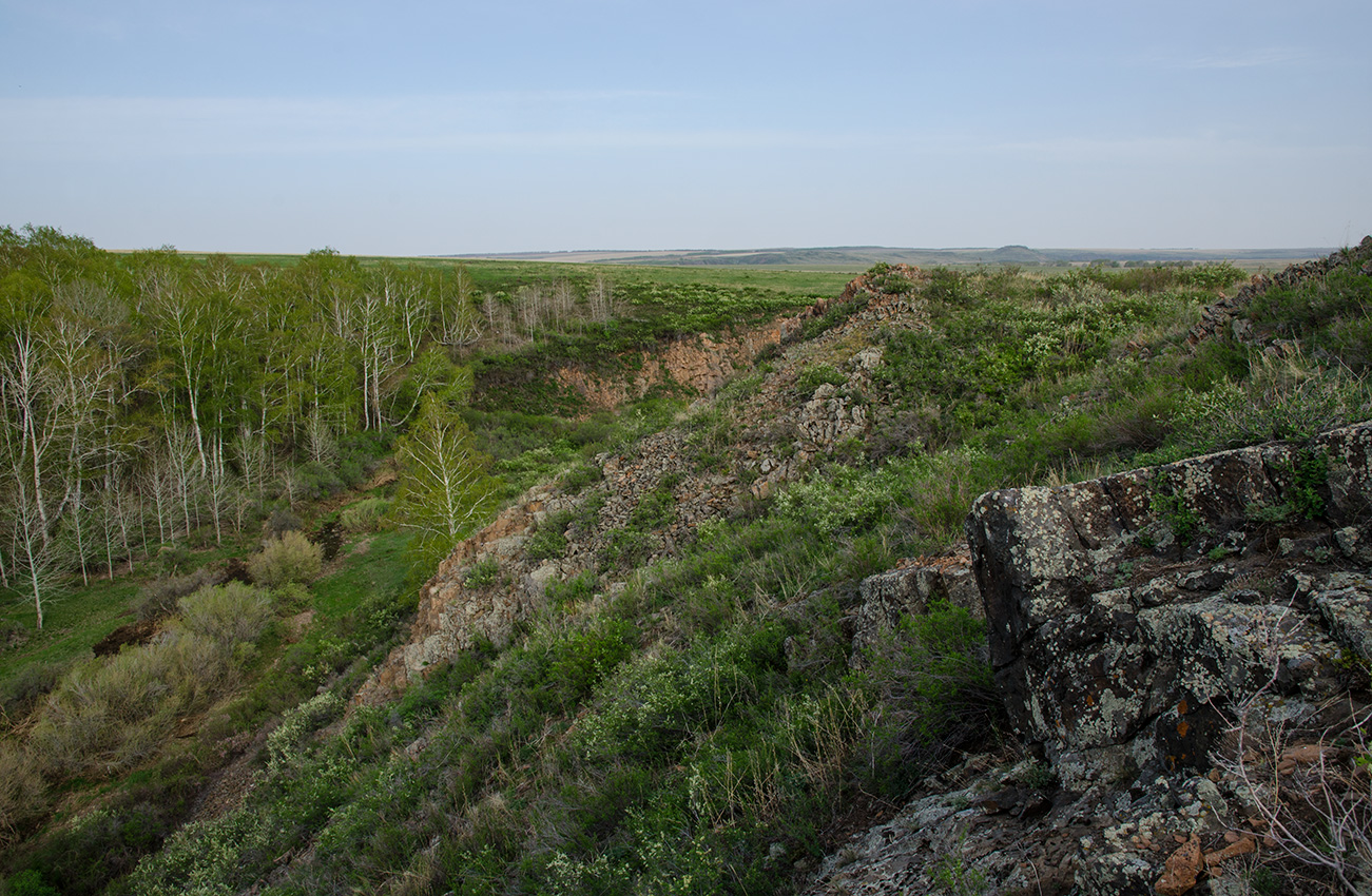 Каменка, image of landscape/habitat.