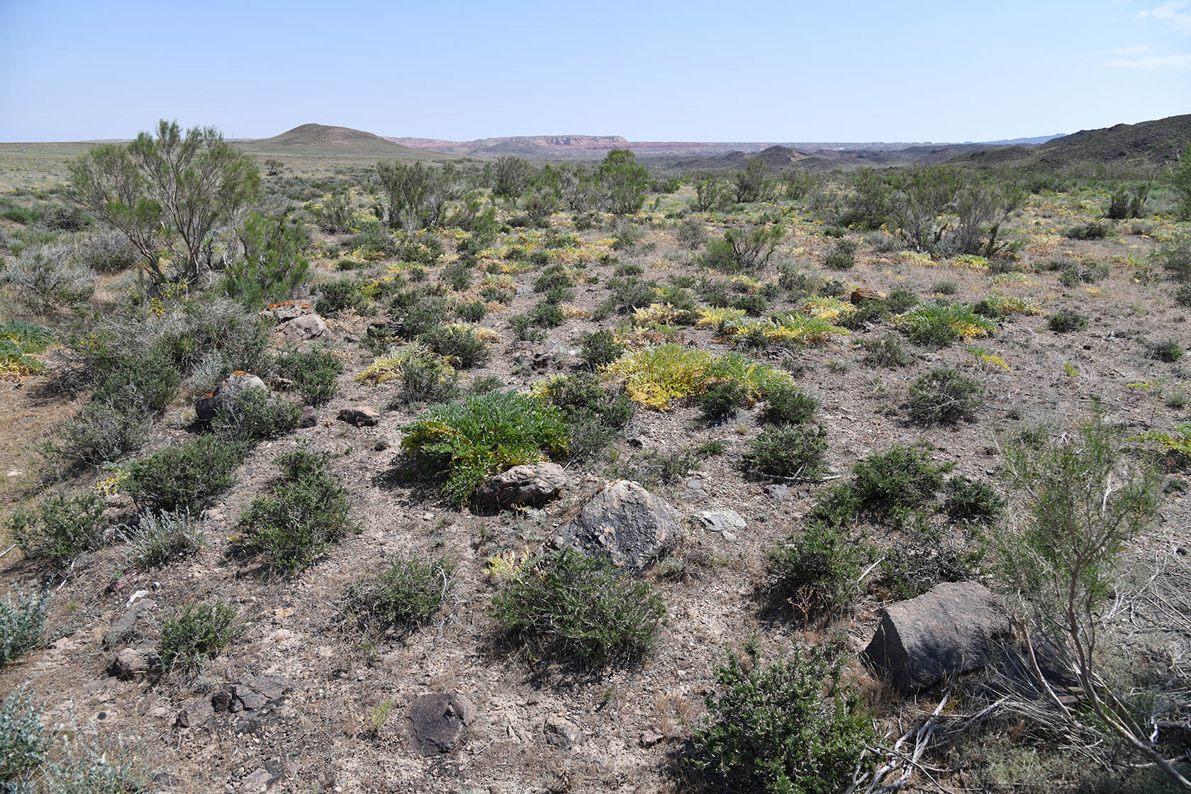 Горы Улькен-Богуты, image of landscape/habitat.