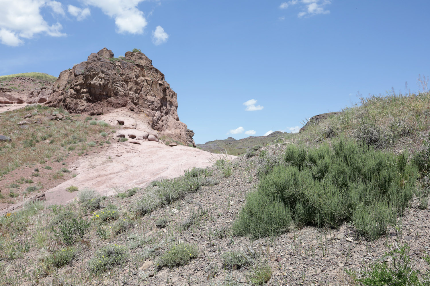 Тайгак, image of landscape/habitat.