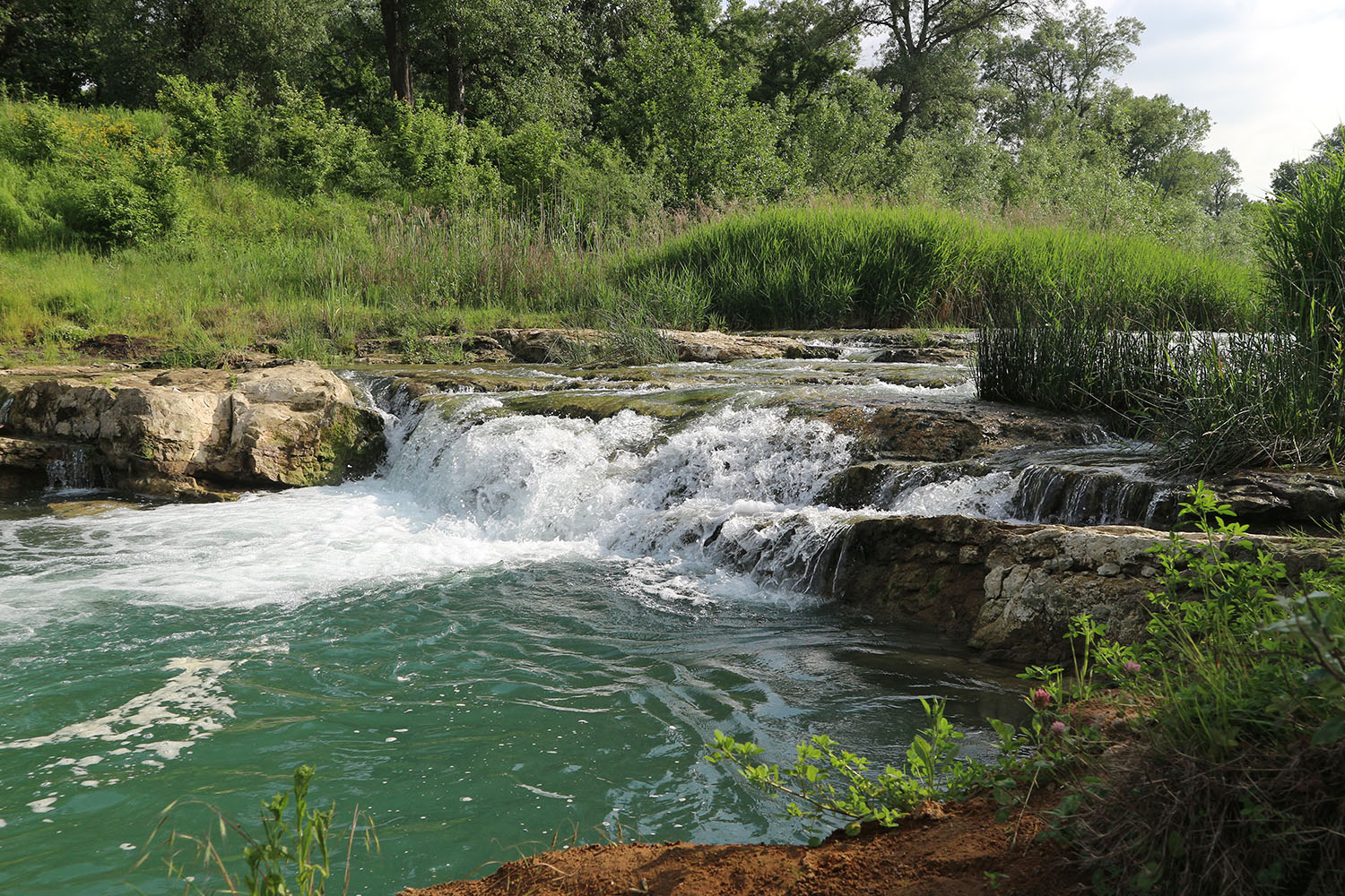 Река Неберджай, image of landscape/habitat.