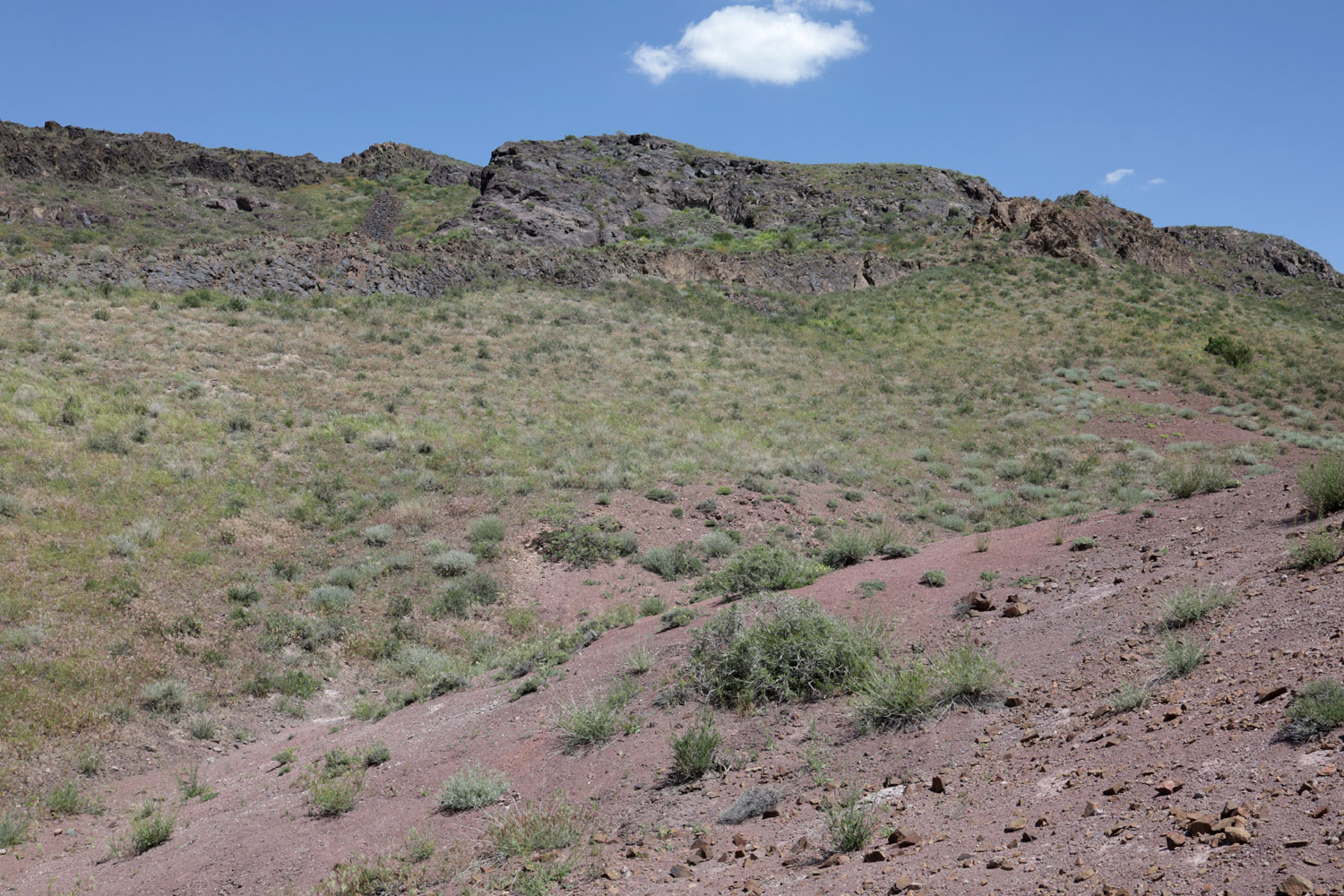 Тайгак, image of landscape/habitat.