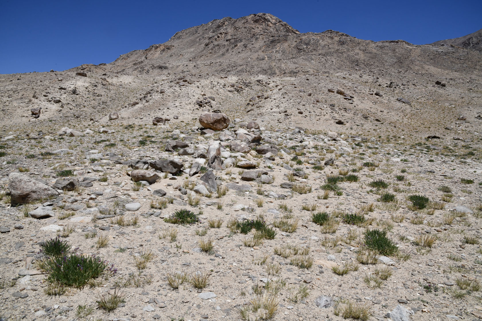 Харгуш, image of landscape/habitat.