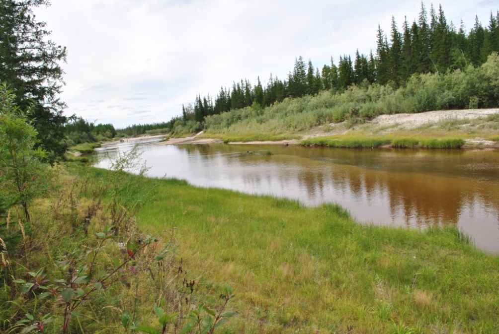 Лено-Вилюйская равнина, image of landscape/habitat.