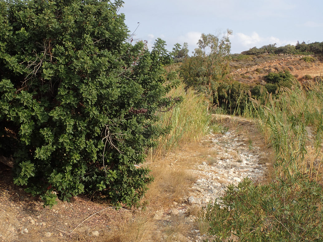 Остров Парос, image of landscape/habitat.