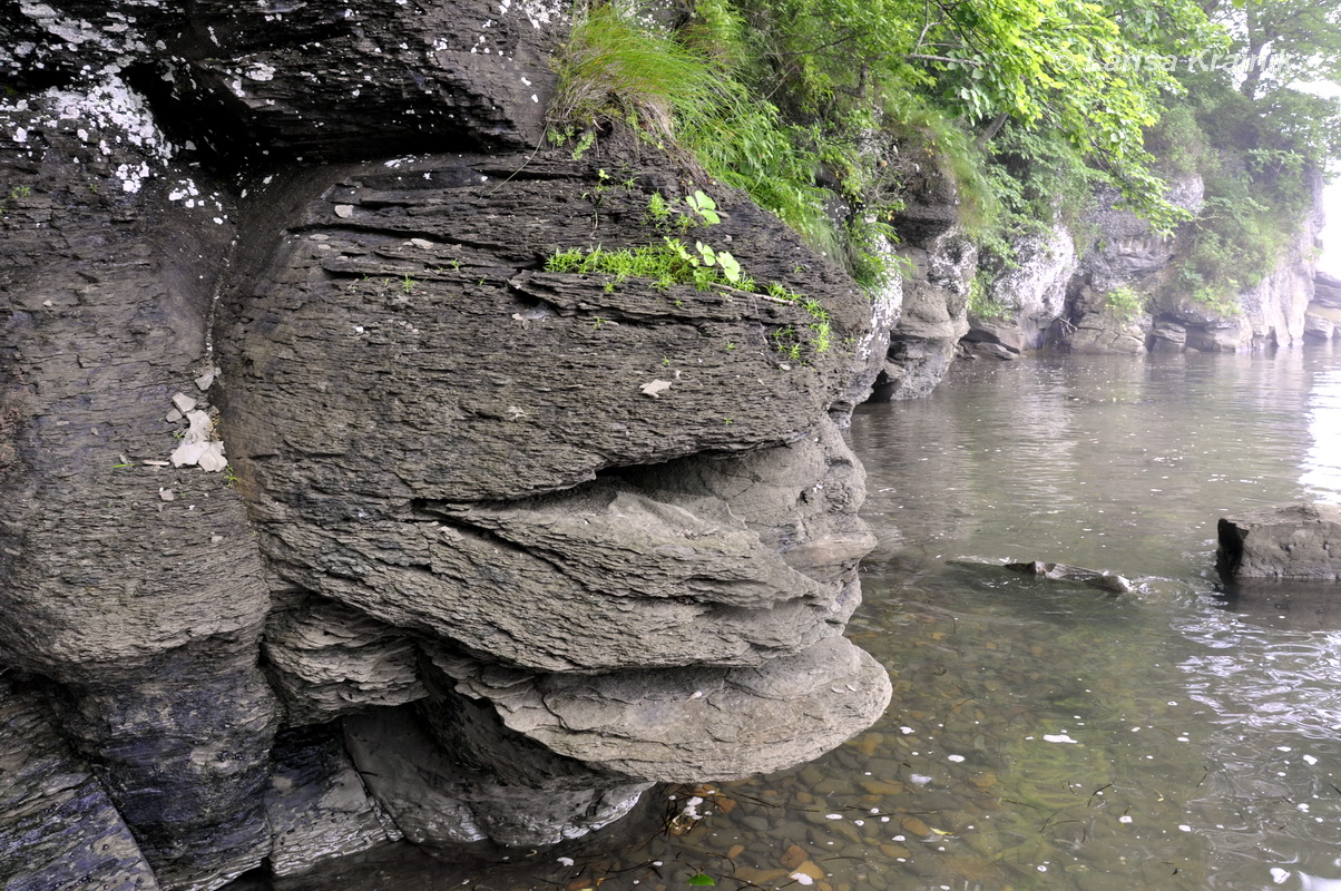 Остров Русский, image of landscape/habitat.