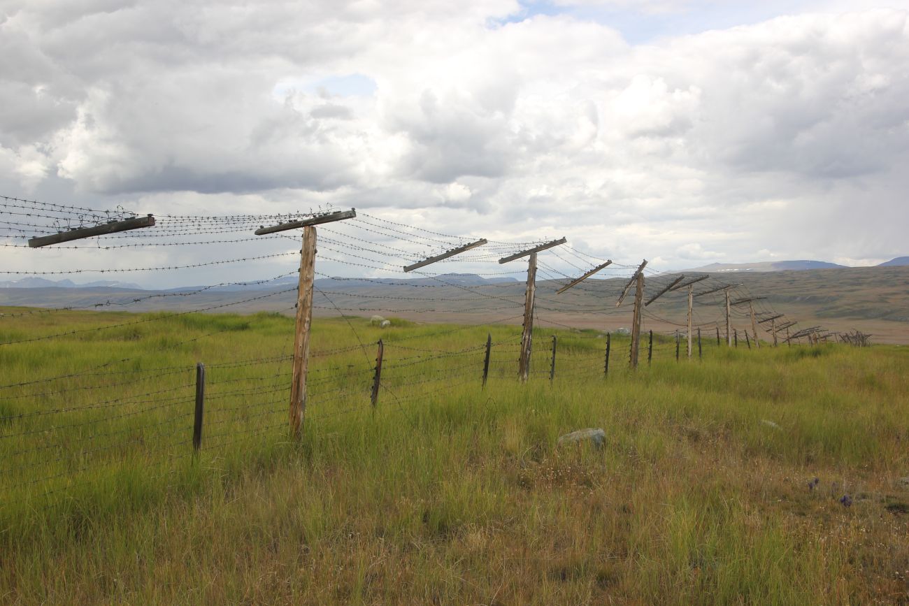 Окрестности стоянки Бертек, image of landscape/habitat.