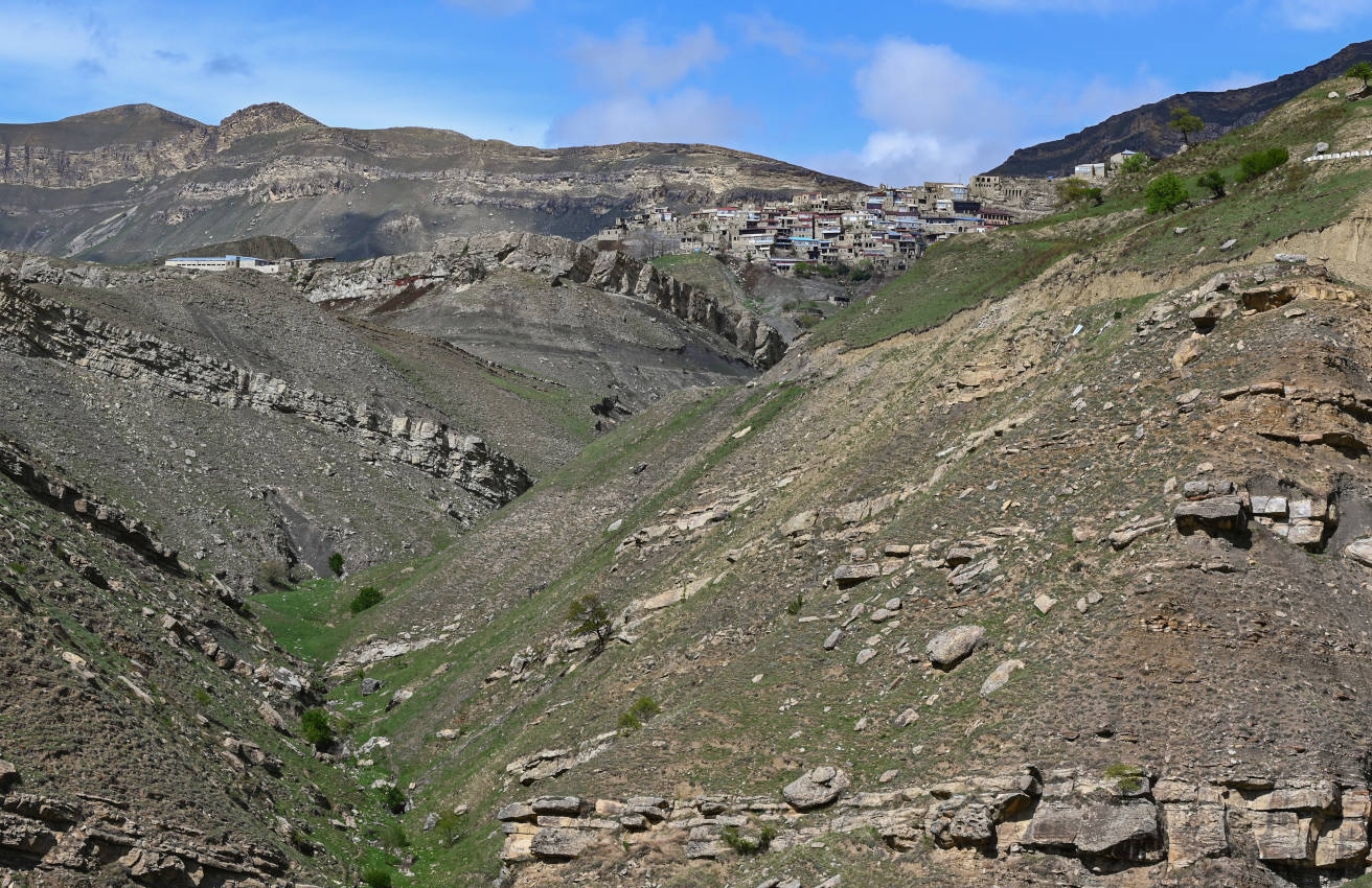 Окрестности села Чох, image of landscape/habitat.