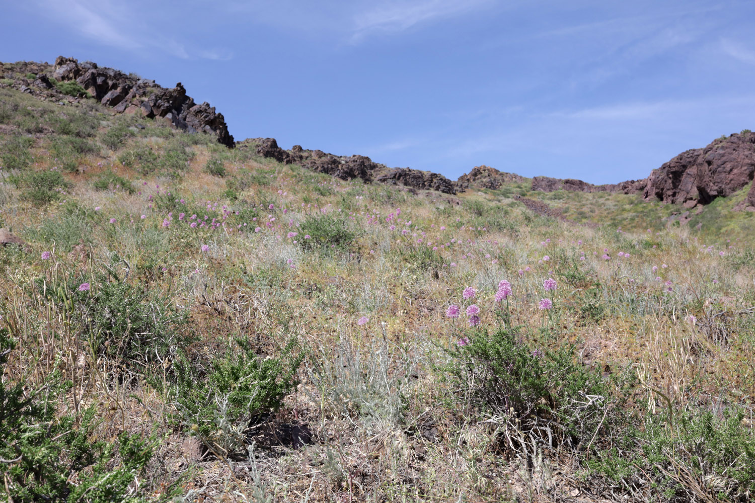 Тайгак, image of landscape/habitat.