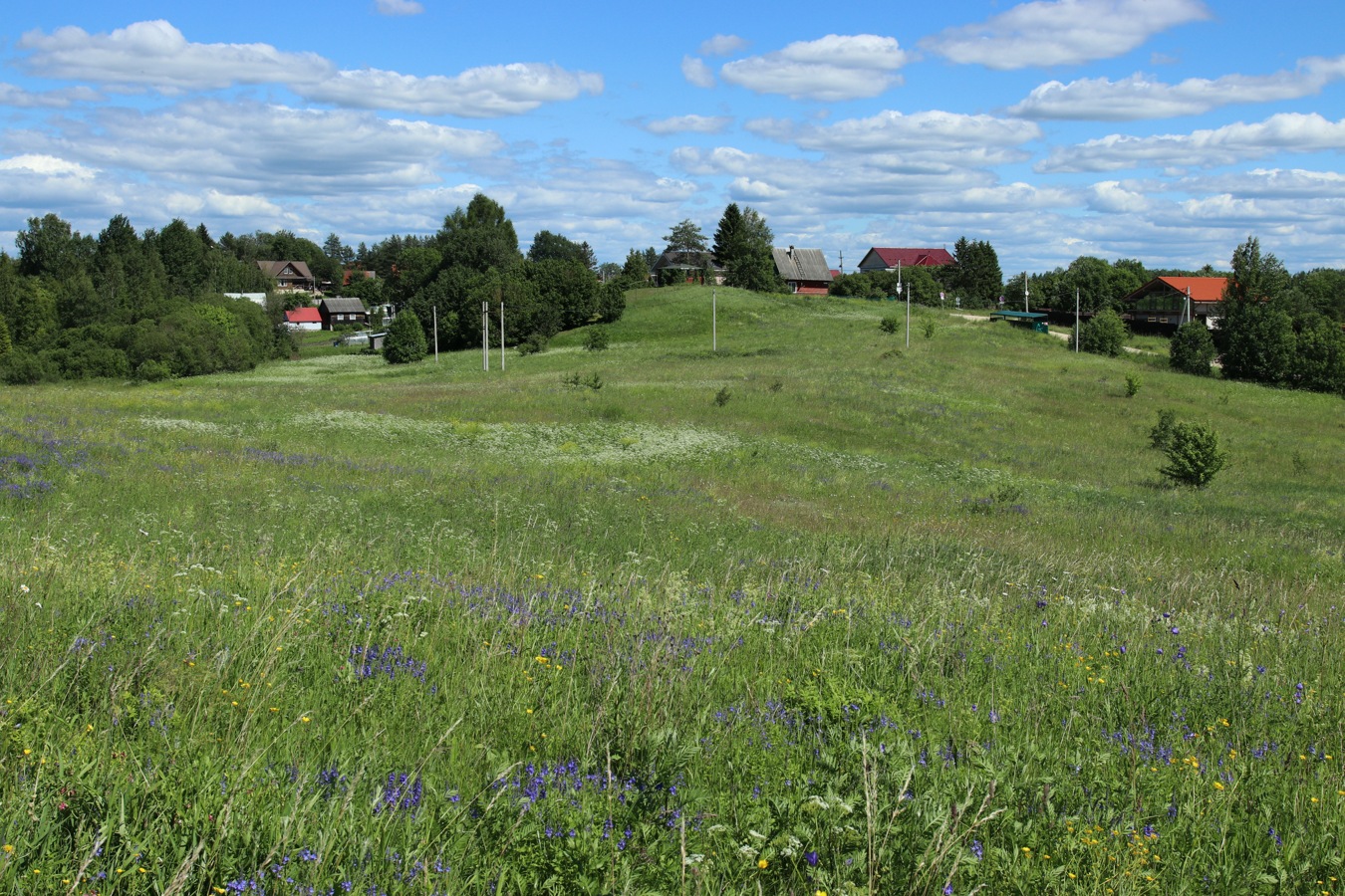 Кюрлевский карьер, image of landscape/habitat.