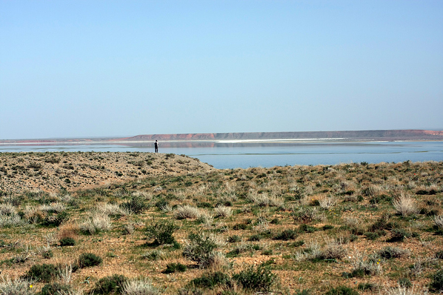 Озеро Кызылколь, image of landscape/habitat.