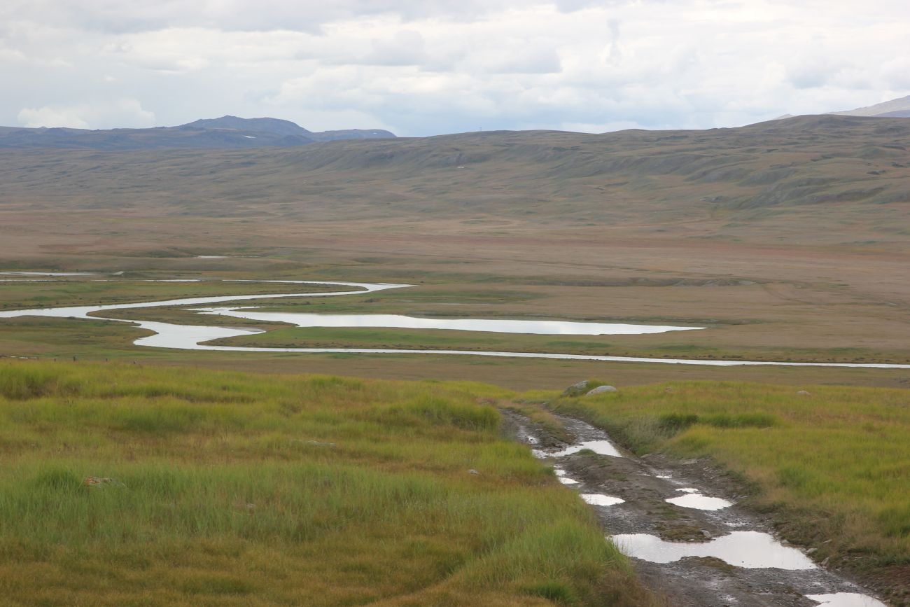 Окрестности стоянки Бертек, image of landscape/habitat.