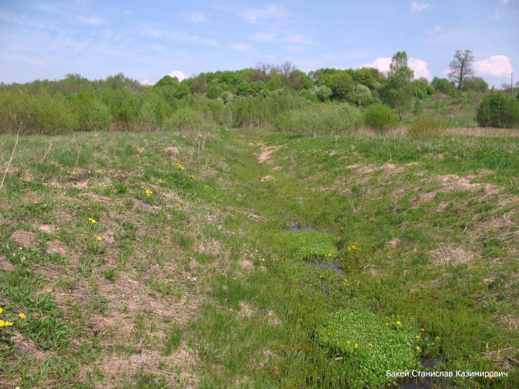 Река Чемеровка, image of landscape/habitat.